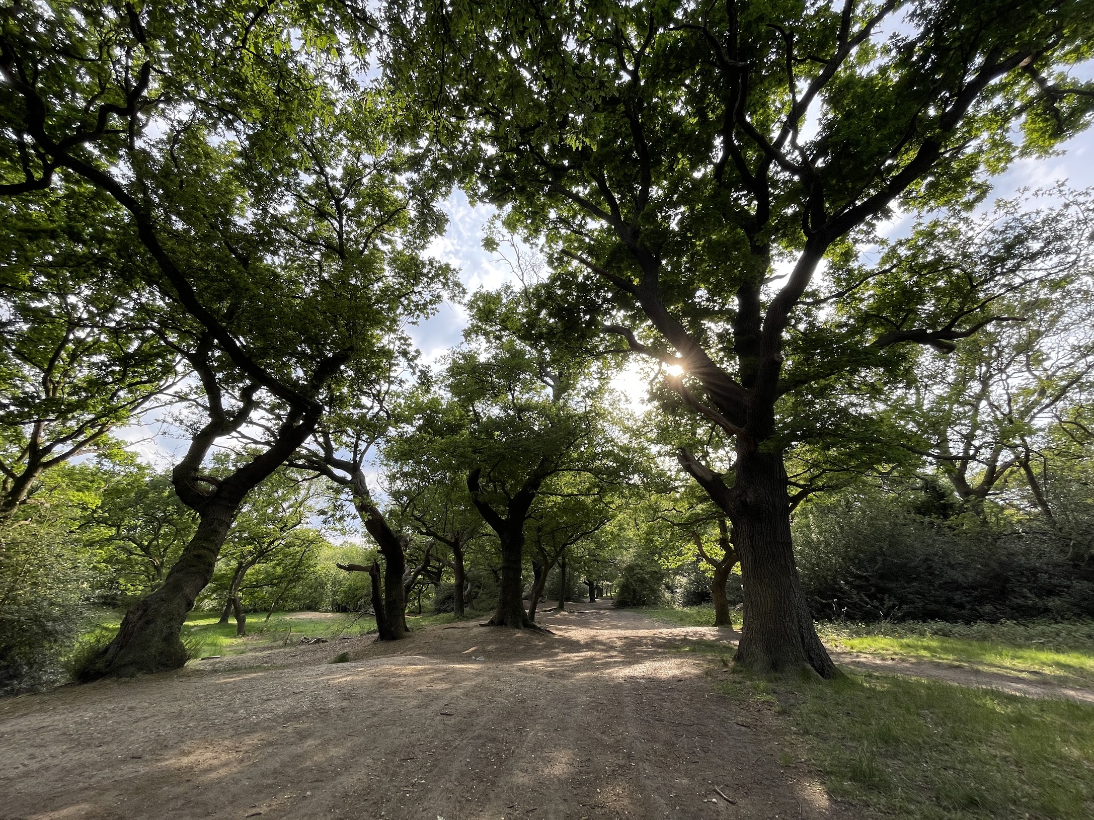 Walthamstow Forest
